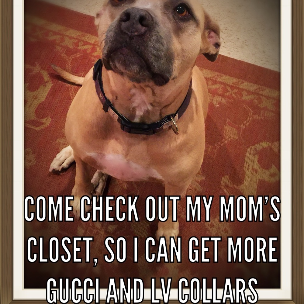 Come check out my closet for great deals!